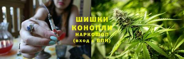 амф Аркадак